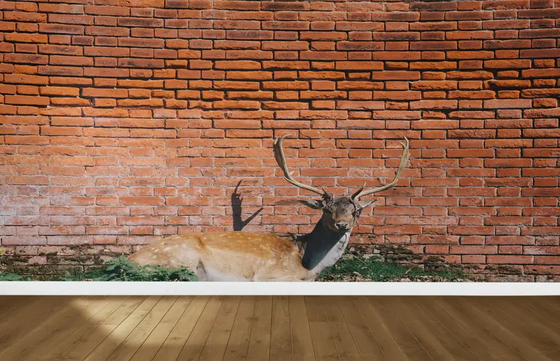 Zarif Geyik Fotoğraf Baskılı Duvar Kağıdı: Vahşi Yaşamın Elegance'ı Ortaya Çıktı