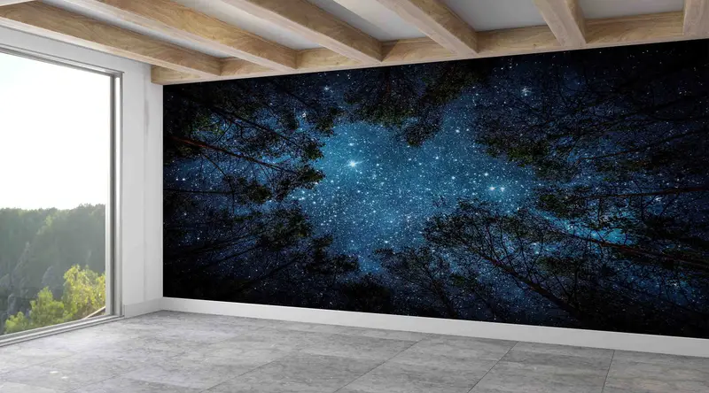 Elegante bedruckte Tapete: Nachthimmel und Waldlandschaft