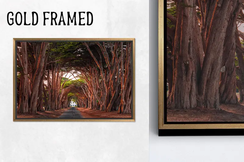 Büyüleyici Kanvas: Masal Ağaçları ve Servi Tüneli Görünümü