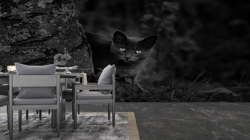 Paper Wall Art ,Bright Wall Paper,Wall Paper Peel and Stick,Black Cat Photo Print,Black Wall Art,Black Cat Mural, - 2