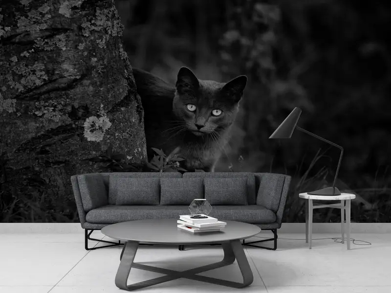 Paper Wall Art ,Bright Wall Paper,Wall Paper Peel and Stick,Black Cat Photo Print,Black Wall Art,Black Cat Mural, - 1
