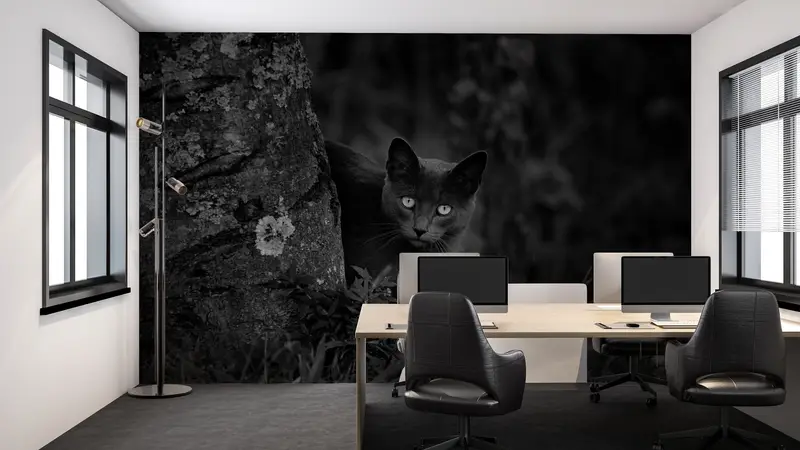 Paper Wall Art ,Bright Wall Paper,Wall Paper Peel and Stick,Black Cat Photo Print,Black Wall Art,Black Cat Mural, - 3