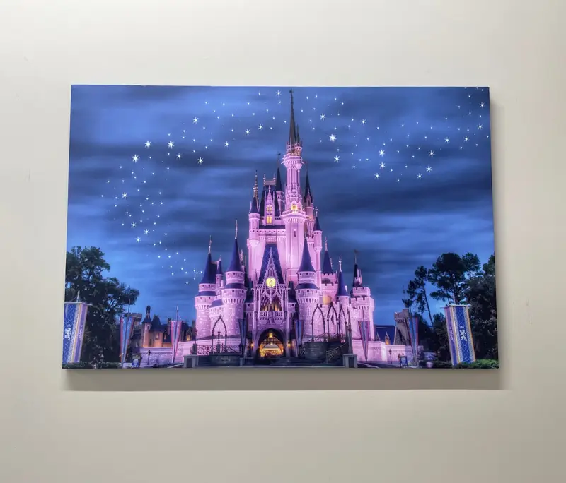 魅惑的なディズニーランドの星空キャンバス、女の子の部屋の装飾用