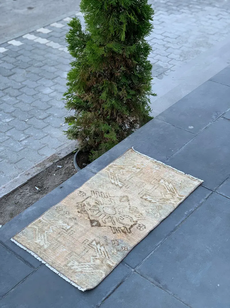 Elegant Beige & Red Rug, 1.47x2.62 ft Floral & Geometric